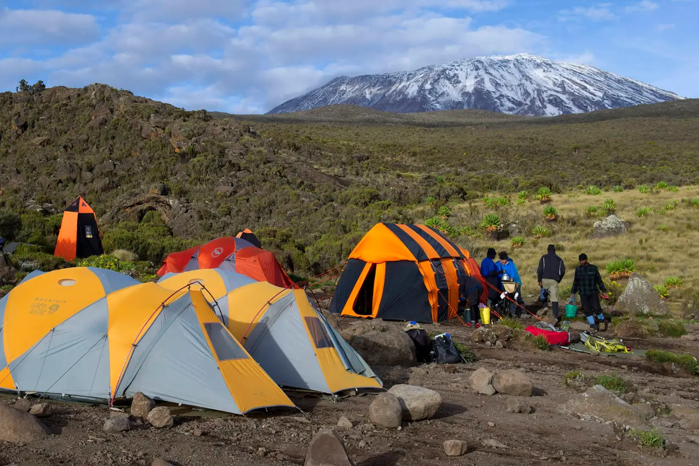 mt kilimanjaro